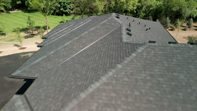 Best Roof Coating and Sealing  in Virden, IL